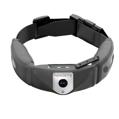 C10 Smart Pet Health Collar