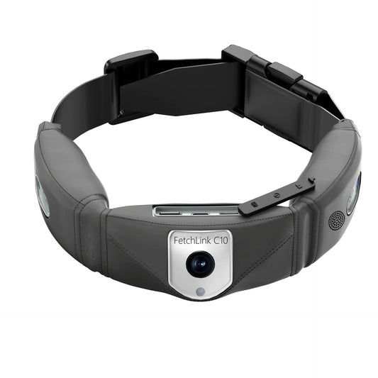 C10 Smart Pet Health Collar